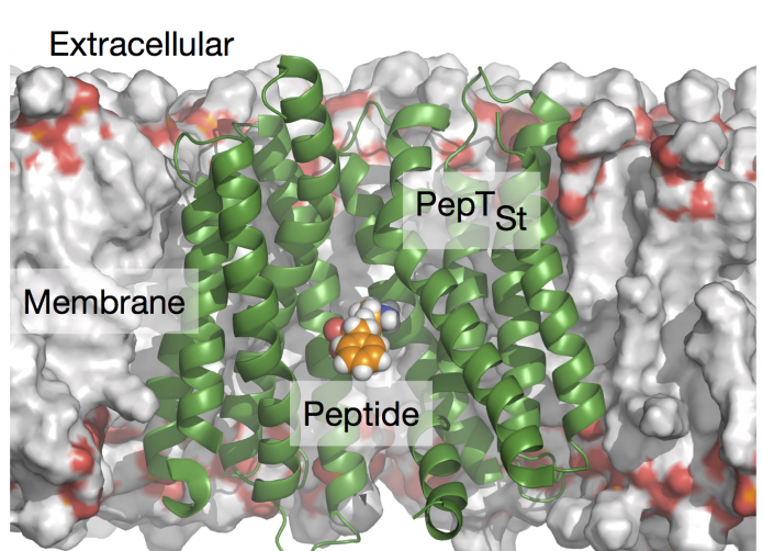 graphical_abstract